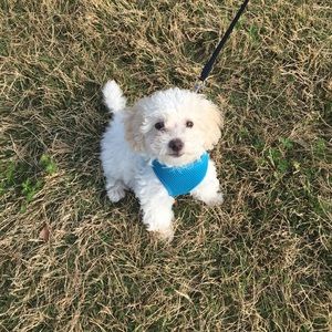 Meet your Posher, Mary